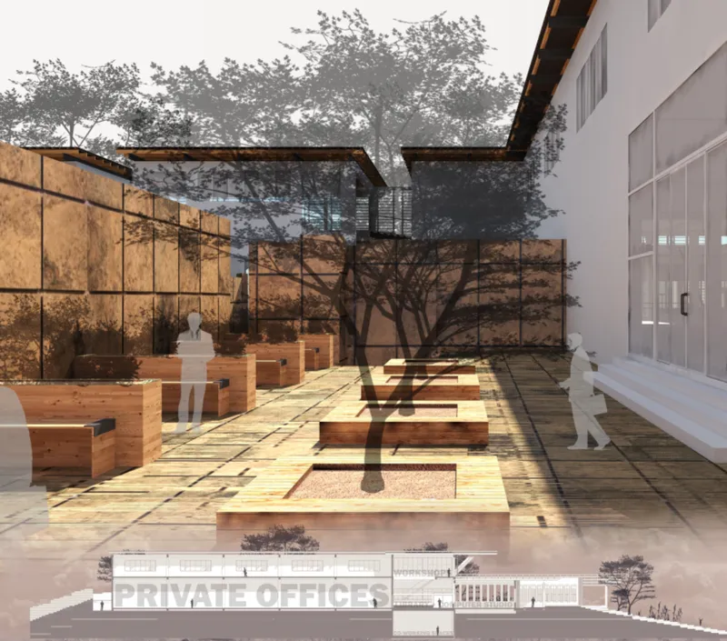 Courtyard with glass facade, timber planters, and tree shadow cast across paved surface