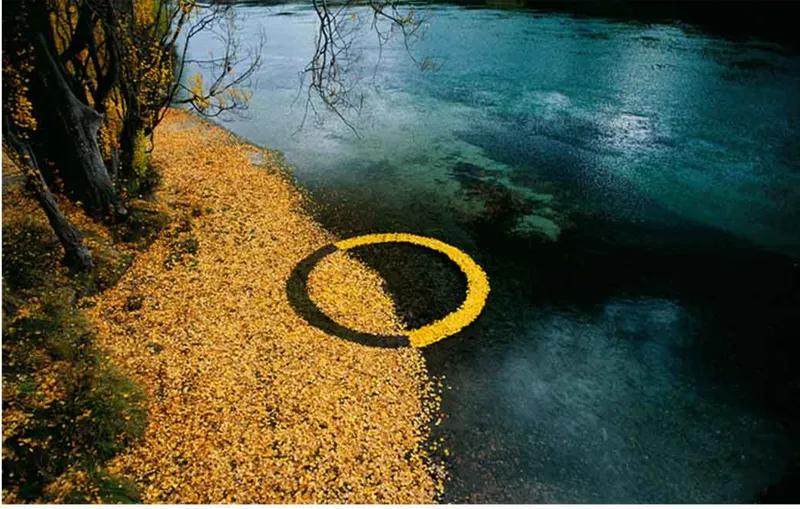 Yellow circle of fallen leaves on a stone path beside turquoise water and bare trees