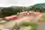 The Parks Housing by Stolon Studio Ltd: A Sustainable Rural Community Reborn in Herefordshire