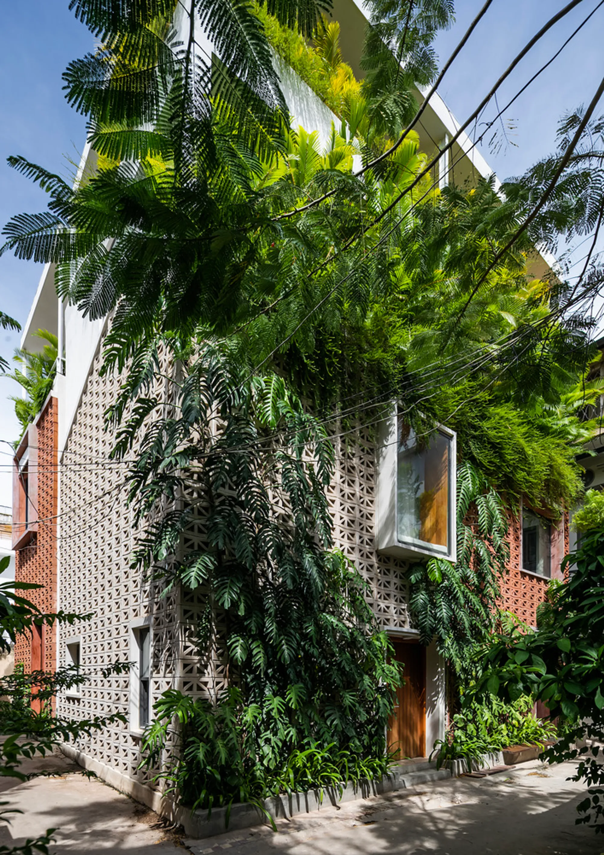 Small Houses by Bloom Architecture, Phnom Penh, Cambodia