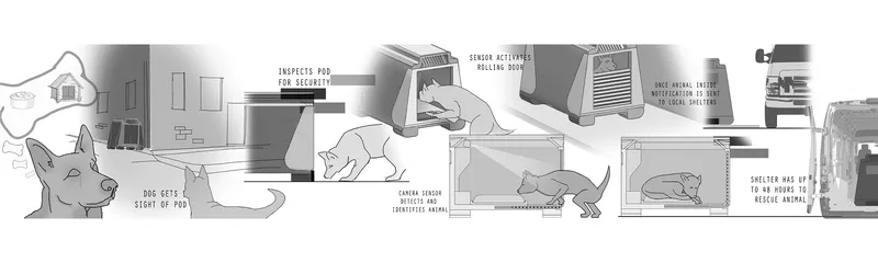 Global and regional statistics highlighting the scale of stray animal populations.