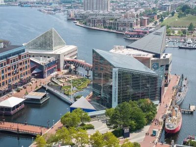 Harbor Wetland by Ayers Saint Gross: Transforming Baltimore’s Inner Harbor Through Sustainable Design