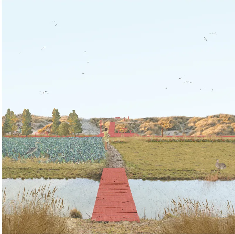 A pedestrian bridge reconnects agricultural land, water systems, and dune ecosystems through slow-mobility infrastructure.
