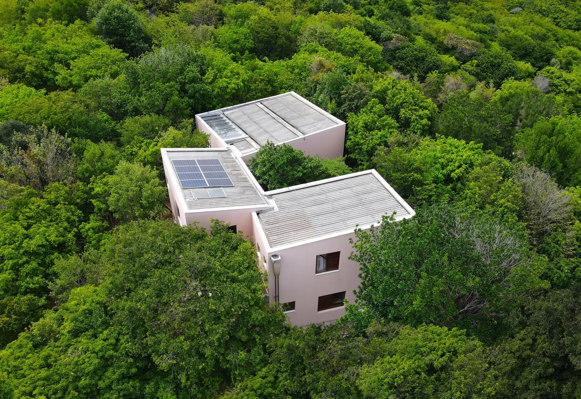 Mata House by Estúdio Mariana Vilela + Atelier Daniel Florez: Harmonizing Architecture with Brazilian Forests
