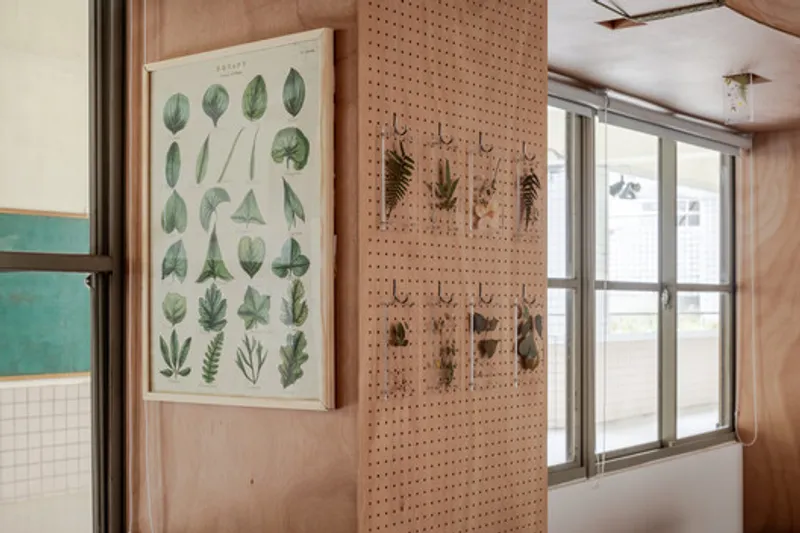 Pegboard wall with botanical specimens and framed chart beside sliding glass doors to exterior