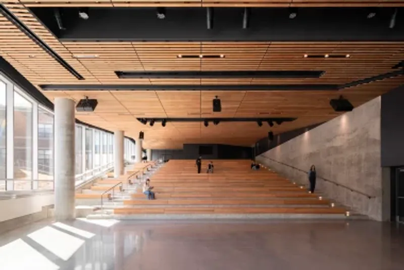 Wide timber staircase with concrete wall and slatted ceiling illuminated by natural light