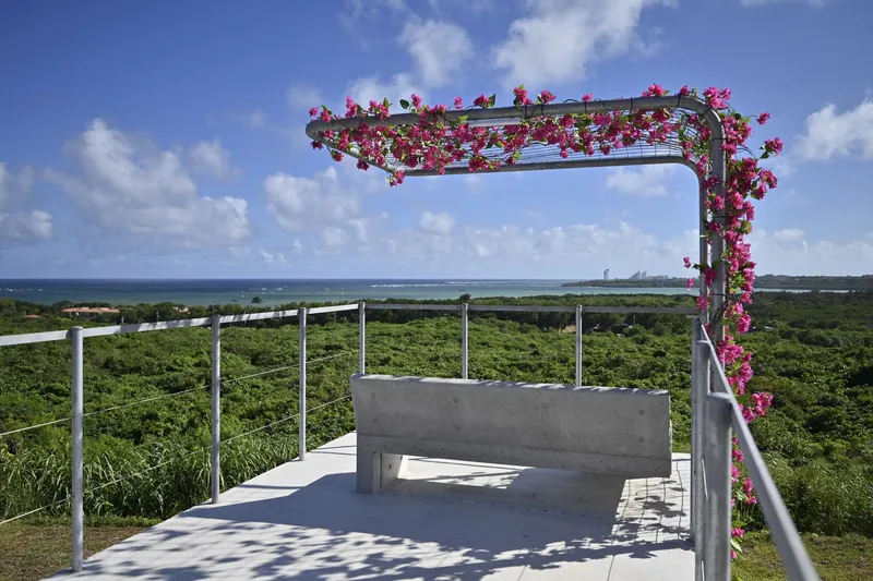Rooftop terrace with concrete bench and bougainvillea-covered pergola facing the ocean under blue sky