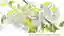Productive Organism: Sustainable Living Habitat in Urban Peripheries