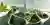Revolutionizing Urban Living: The Impact of Artificial Intelligence on Smart Cities