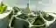 Revolutionizing Urban Living: The Impact of Artificial Intelligence on Smart Cities