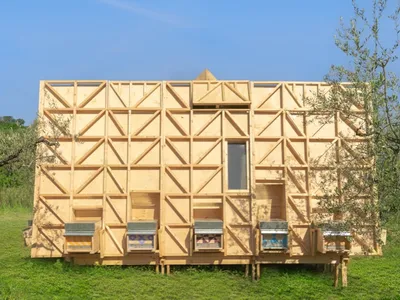 Experience Buzz-worthy Sleepovers with Over 1 Million Bees at Southern Italy's Air 'Bee&Bee