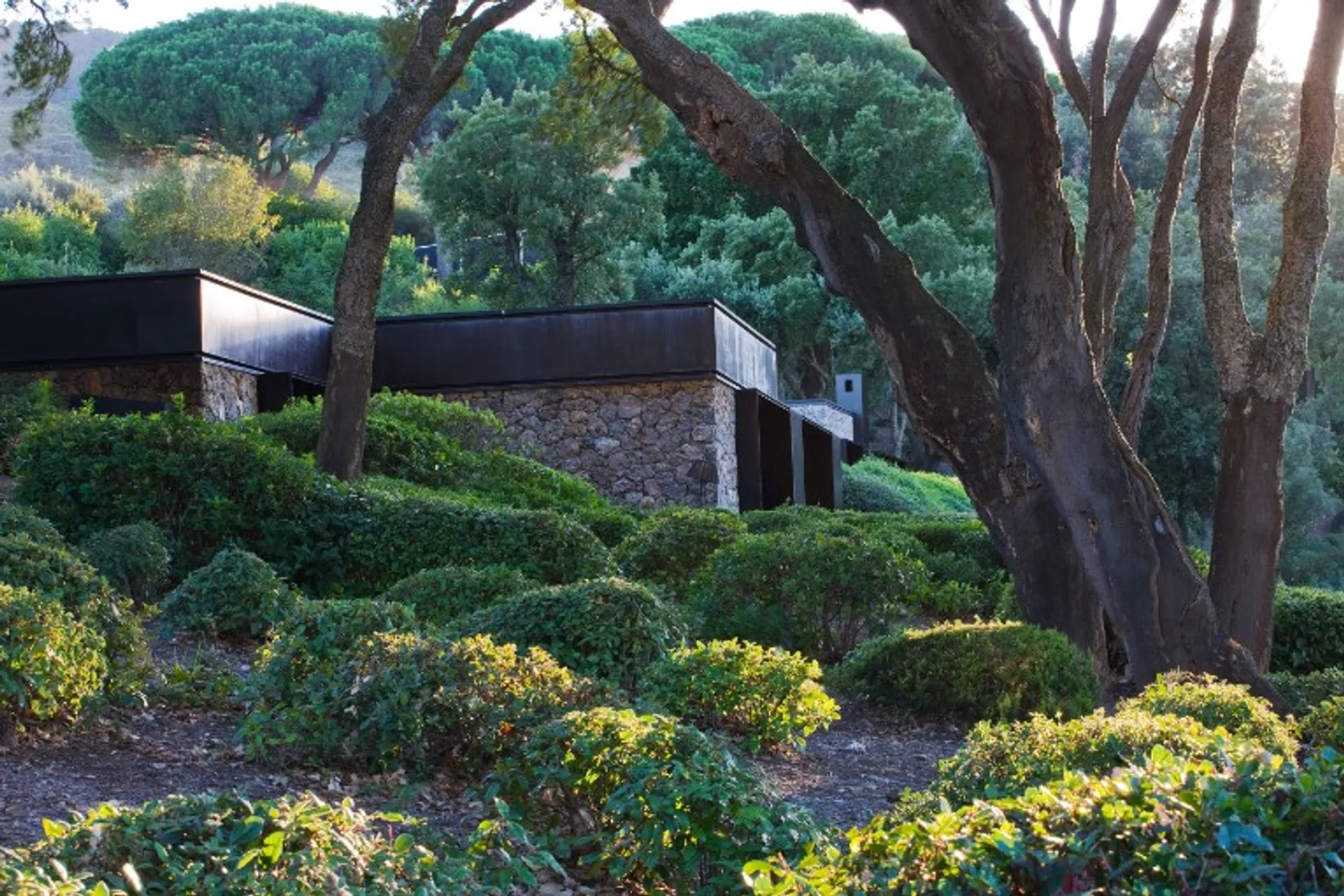 Announcing the 2022 Dedalo Minosse International Prize Winners