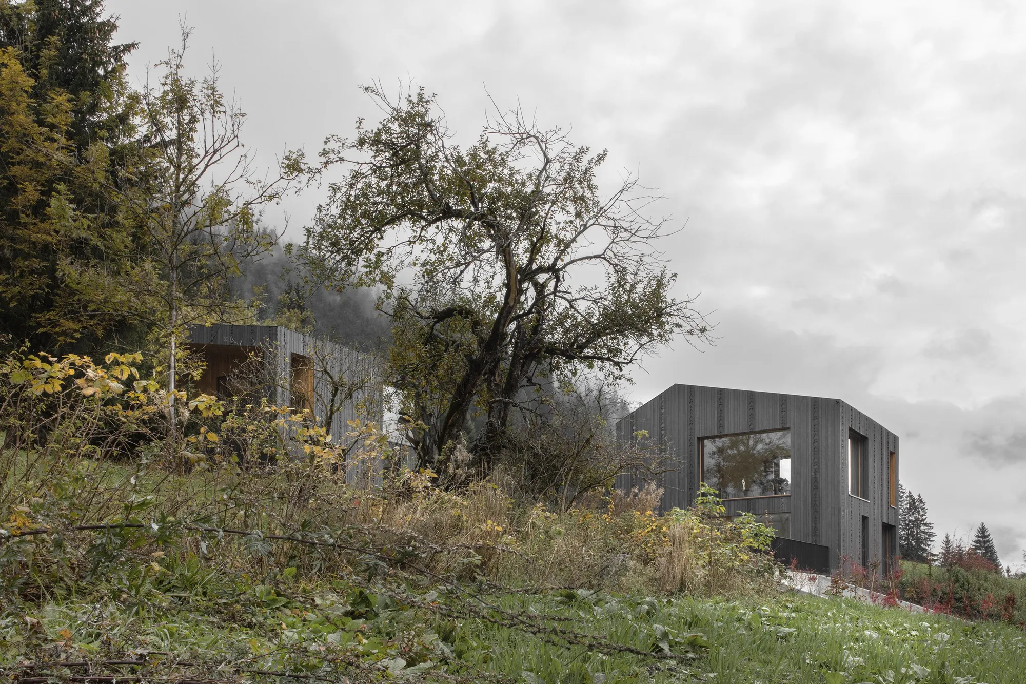 Elevating Elegance: Naemas Architekten Transforms Zierhof with Parlor Bliss
