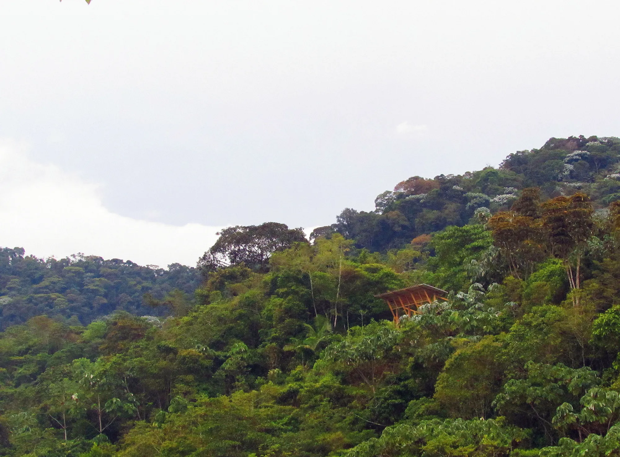 Sustainable Architecture in Colombia: A Deep Dive into Mirador del Duende Project