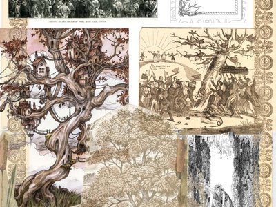 OAK PLAYGROUND