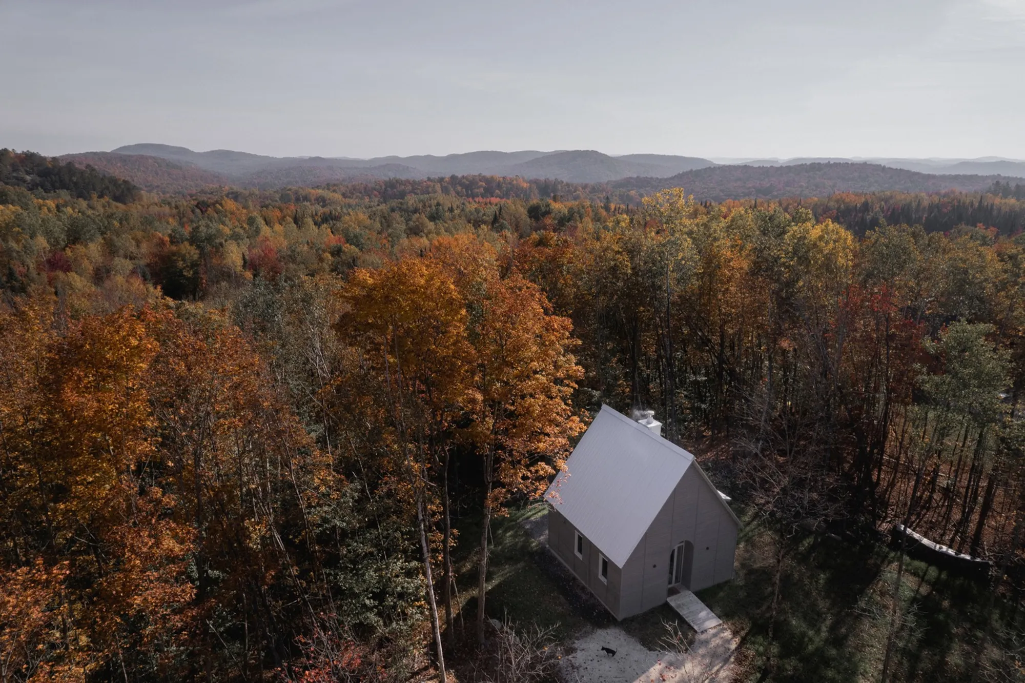 Unveiling the Charm of a Pet-Friendly Haven in Mont Tremblant