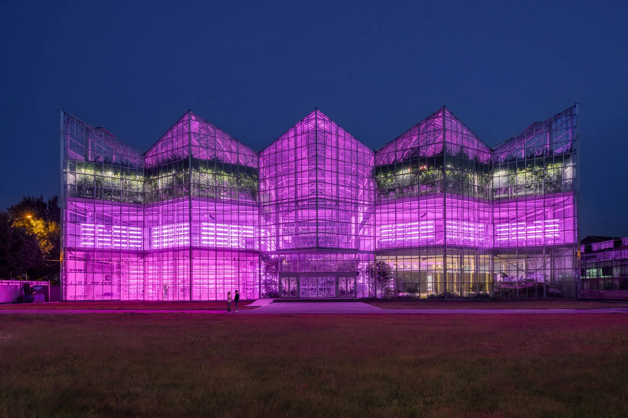 Vertical Farming Architecture: The Future of Urban Agriculture