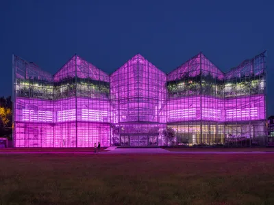 Vertical Farming Architecture: The Future of Urban Agriculture