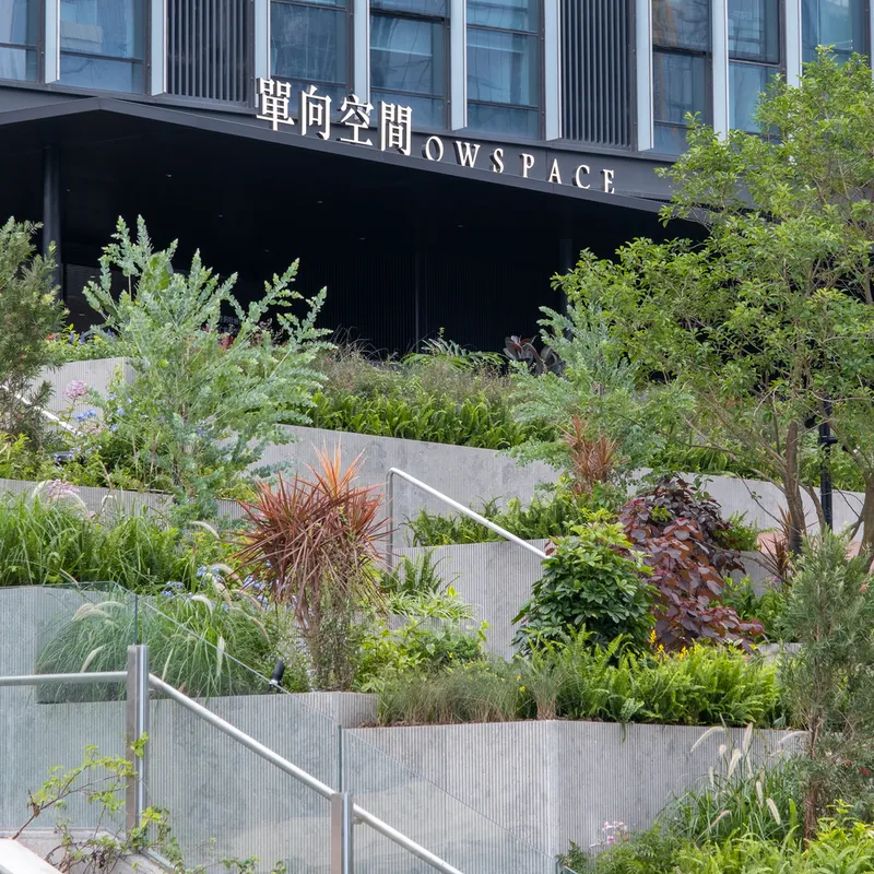 Tiered concrete planting beds with mixed vegetation beneath a cantilevered building overhang