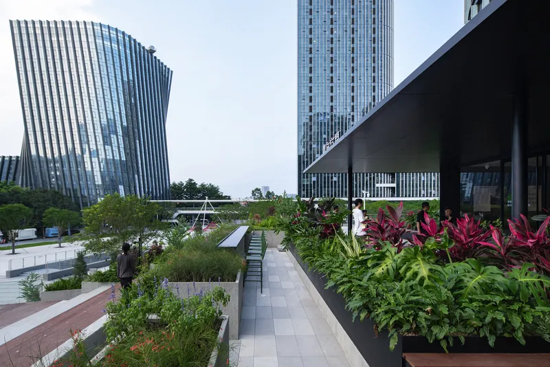 Rooftop terrace walkway lined with red-leaved plants and greenery between glass tower facades