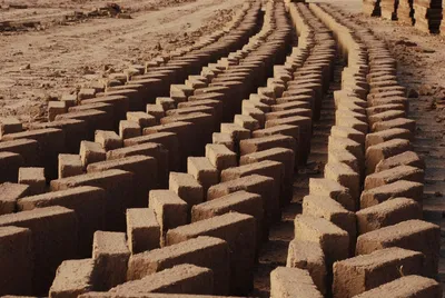 The image showcases rows of freshly made bricks laid out to dry in an arid landscape. The bricks are