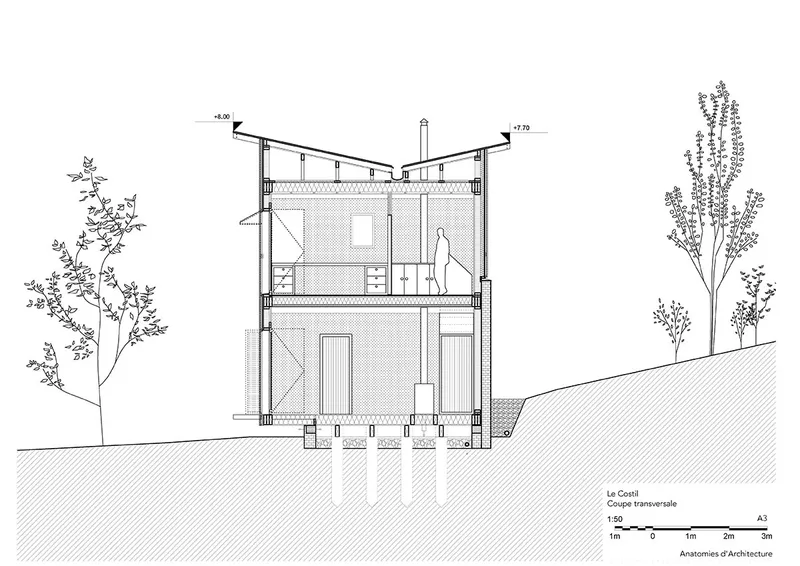 Section
