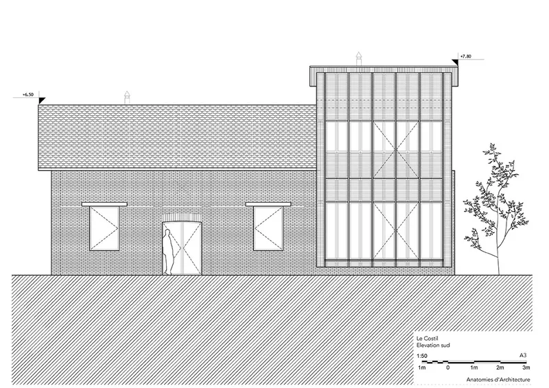 Elevation