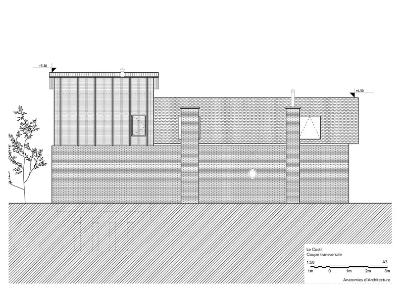 Elevation