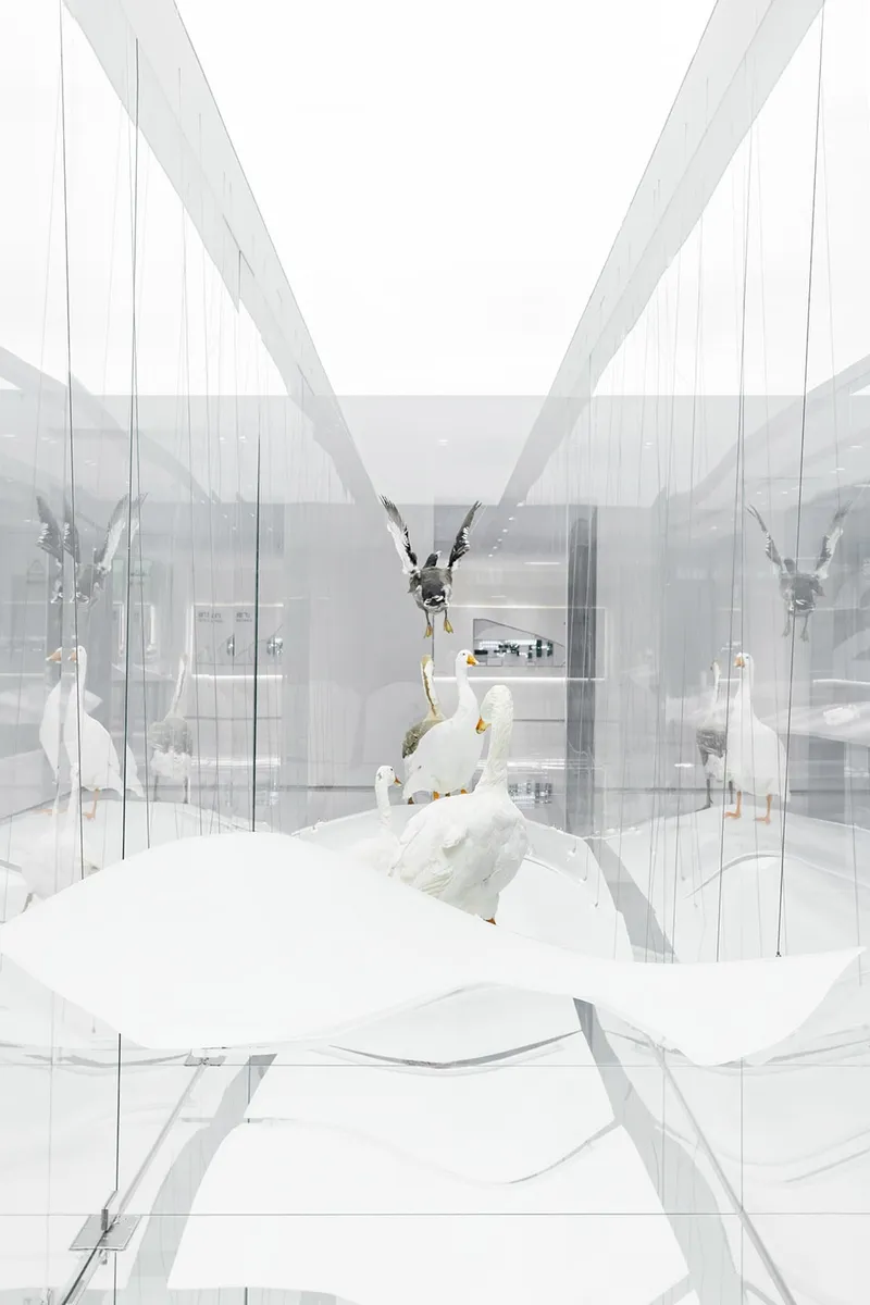 Details of the goose specimen ©Meng Qingwei, Xie Yilun, Wu Ruozheng