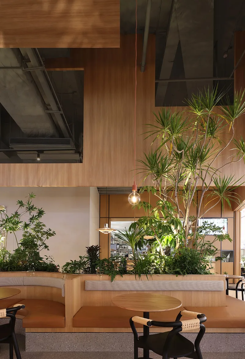 The "oasis" located in the city © Xiao Le