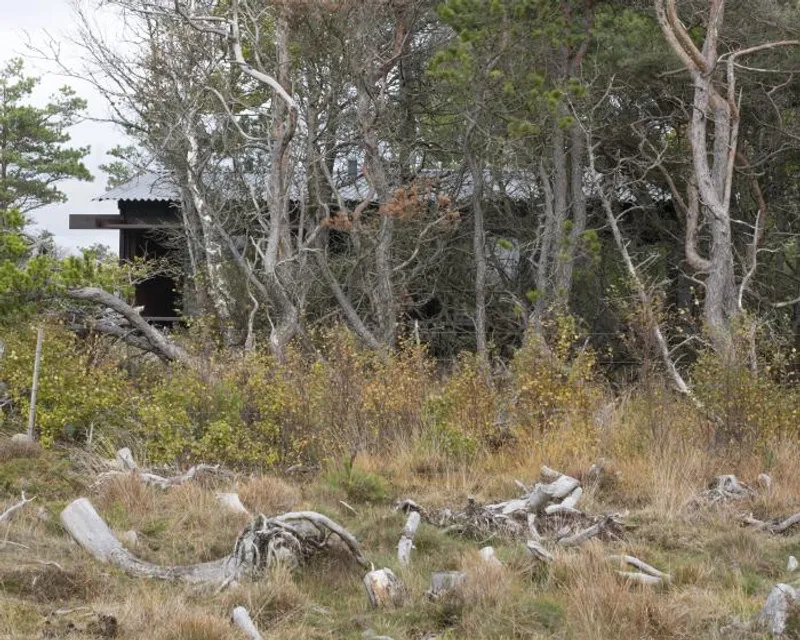 @MIKAEL OLSSON