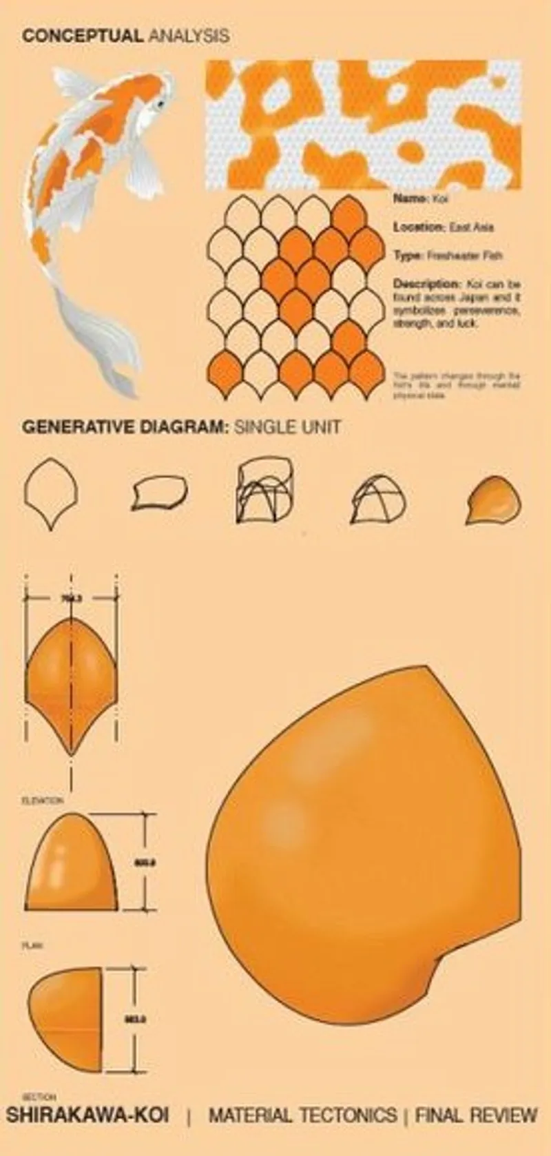 Koi-inspired design translating nature into architectural elements.