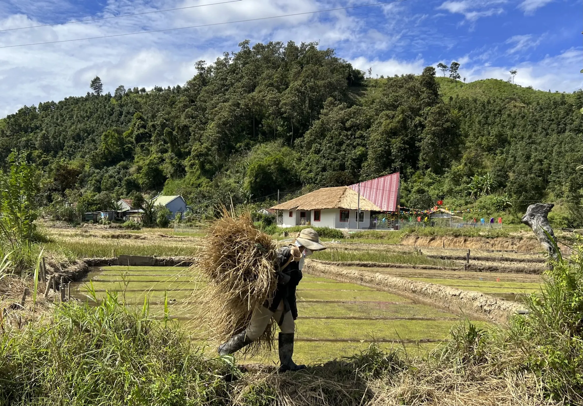 1+1>2 Architects Nestles a Thatched-Roof School into Vietnam's Rice Terraces