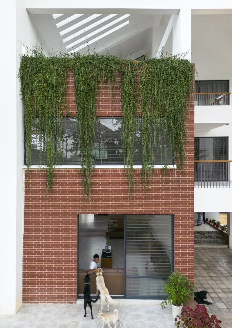 Red brick facade with vertical greenery and white pergola overhead as dogs gather below