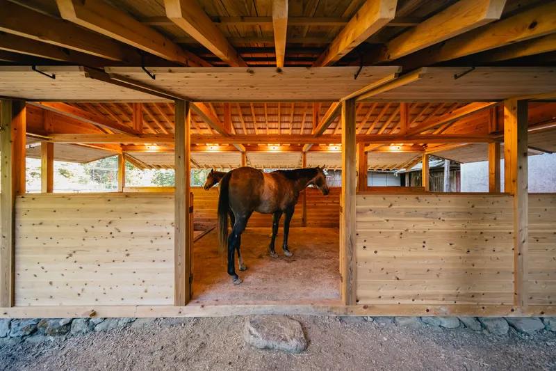 Interior view of a timber stable stall with exposed beam ceiling and a horse standing in sawdust
