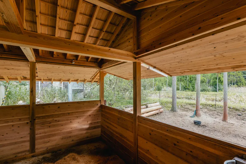 Interior of timber stable with exposed post-and-beam structure opening to a fenced paddock beyond
