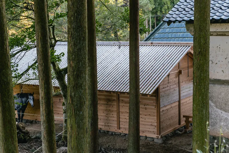 View through tree trunks of the timber stable with metal gable roof in wooded courtyard