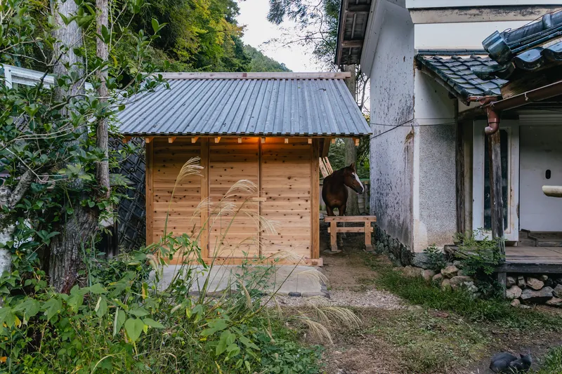 Timber stable with corrugated metal roof tucked between trees and existing buildings, horse visible inside