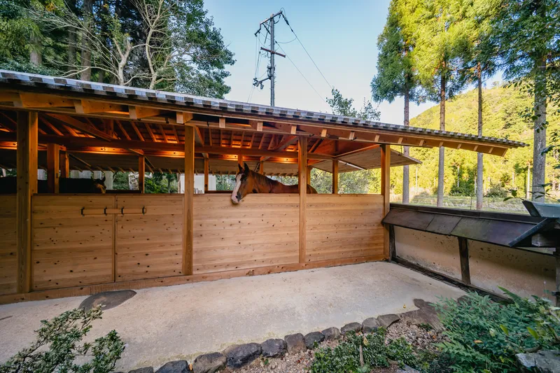 Open-air stable structure with timber posts, overhead framing, and water trough under deciduous canopy