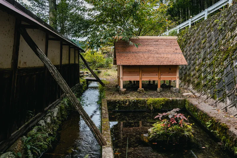 Moss-covered stone canal running between timber buildings with reflections of surrounding trees in the water