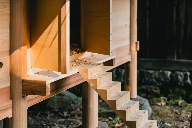 Timber stair with exposed joinery leading to elevated plywood chamber in afternoon light