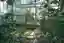 This image showcases the interior of a greenhouse, where vegetation thrives amidst a metal frame and