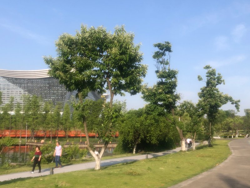 Jincheng Lake Park