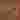 Disegno logo