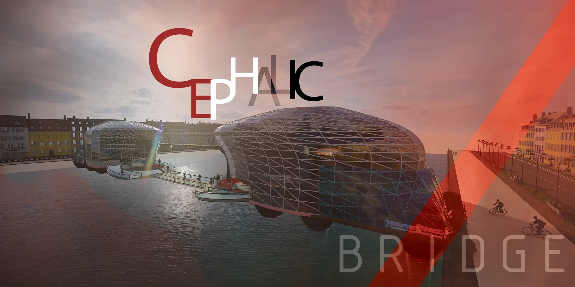 Cephalic Bridge