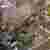 Visualization (19-20)