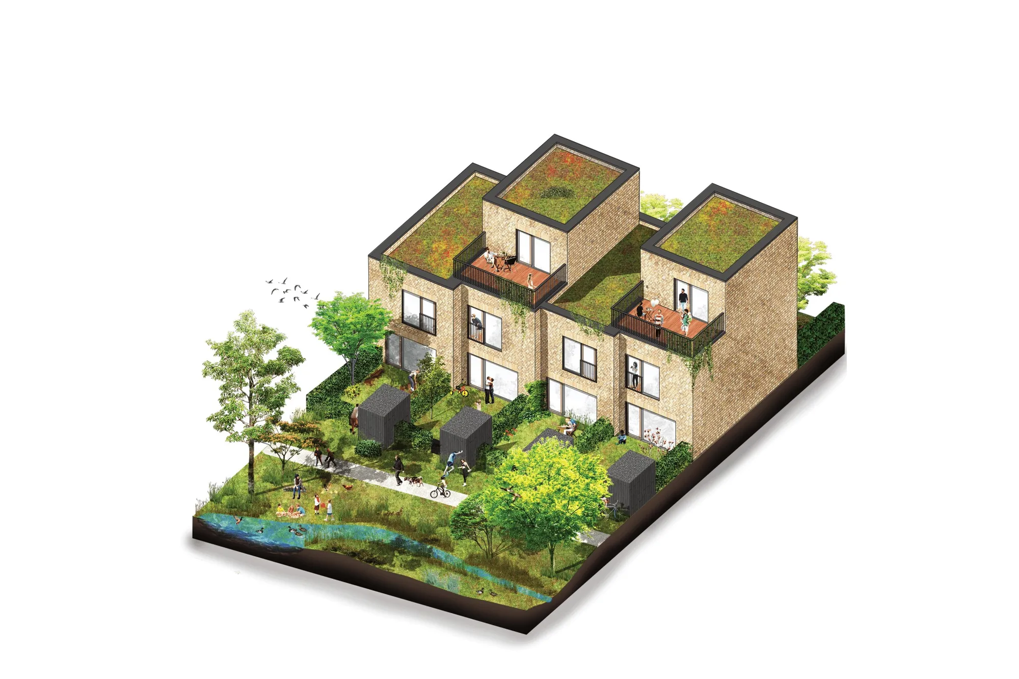 Visualizations