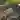 Content Strategy icon
