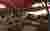 Chili Cafe _Reparametrize Studio