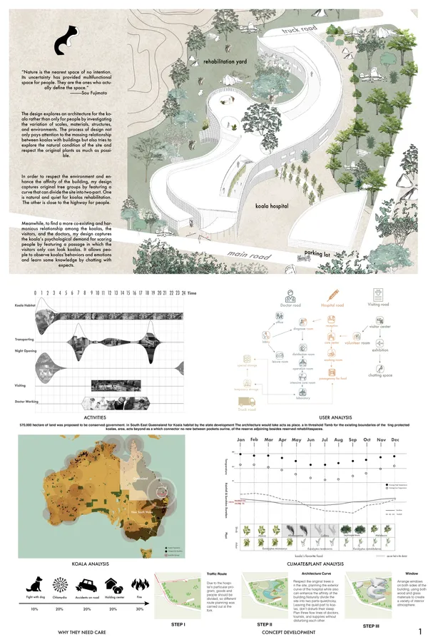 Koala Haven